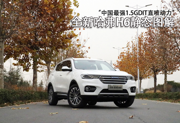 600 大圖.jpg