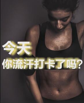 大河報汽車網