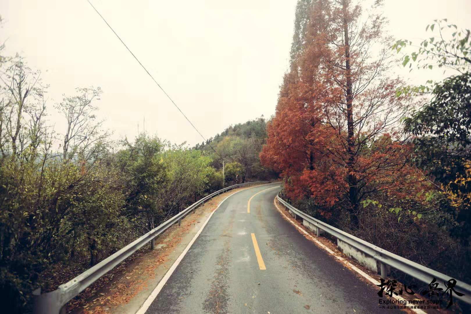 探心岳界  隨一汽大眾探岳行游荊楚大地  