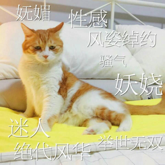 新建Microsoft Word 文檔233.png