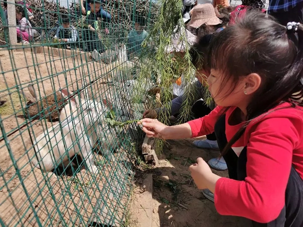 a 圖片6.jpg