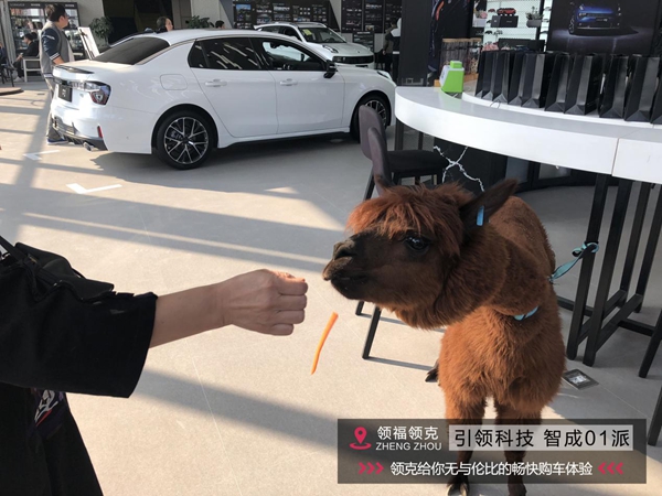 a 圖片30.jpg